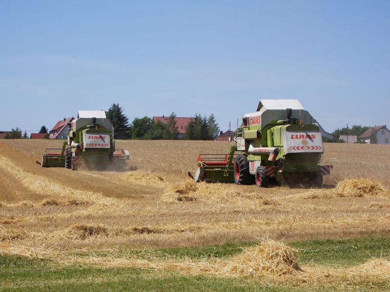 Claas Mega 218 13.jpg